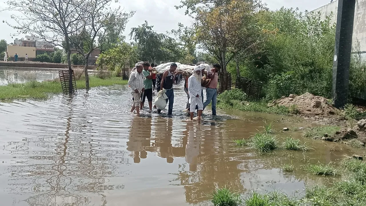 सोचने को मजबूर कर देगी ये तस्वीर..जलभराव के बीच से ले जानी पड़ी अर्थी, ग्रामीणों को सताता रहा अर्थी गिरने का डर